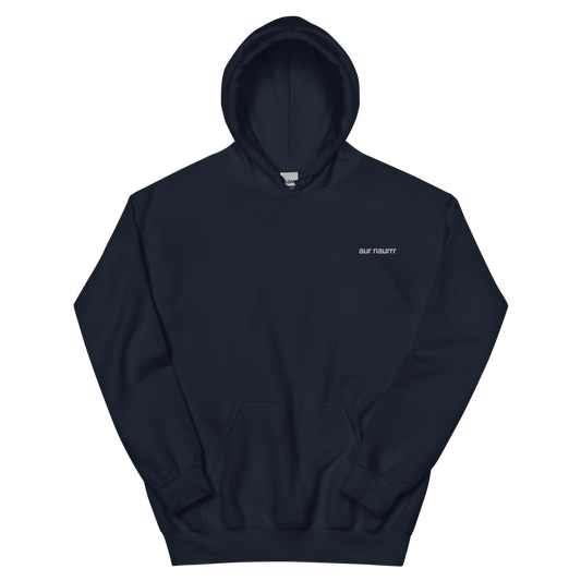 aur naurrr Embroidered Hoodie - Polychrome Goods 🍊