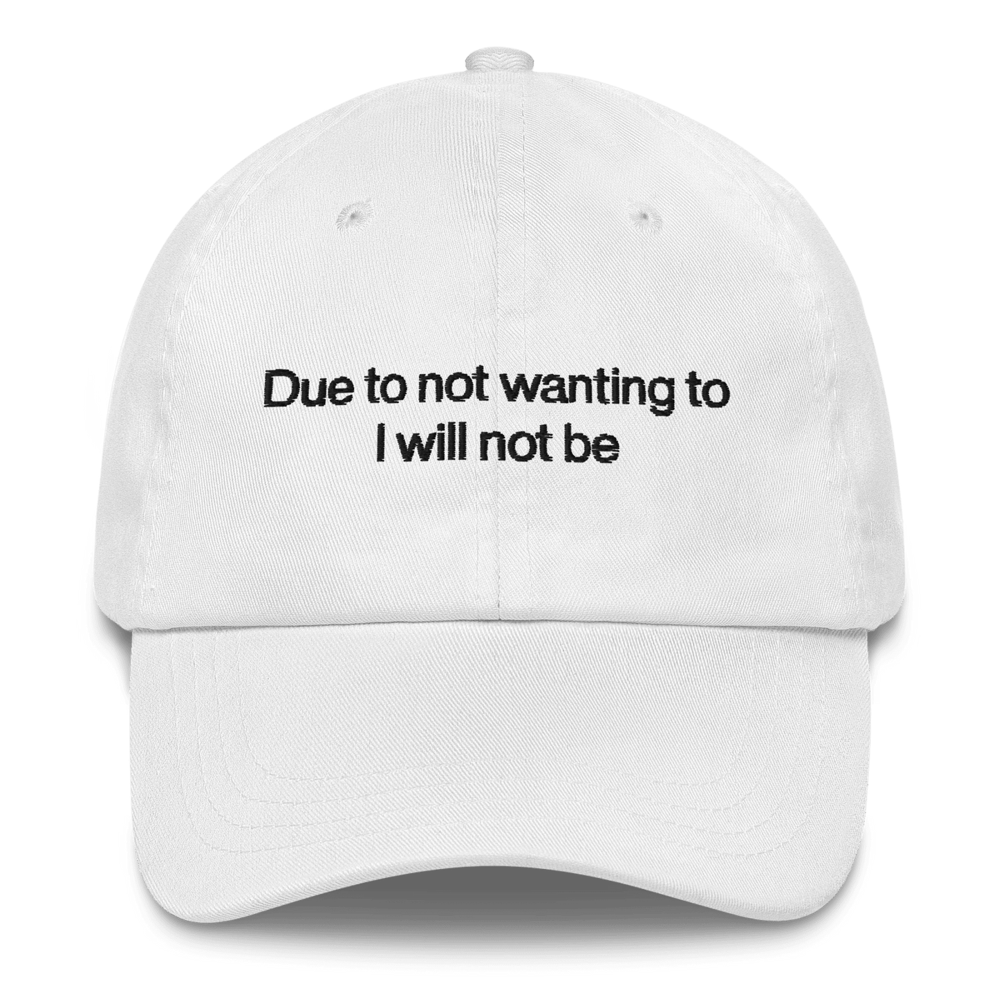 Due to not wanting to I will not be Embroidered Hat - Polychrome Goods