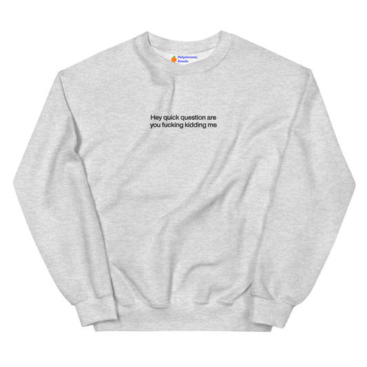 Hey quick question are you fucking kidding me Embroidered Sweatshirt - Polychrome Goods 🍊