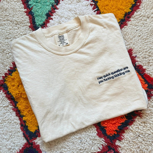 Hey quick question are you fucking kidding me Embroidered T-Shirt - Polychrome Goods 🍊