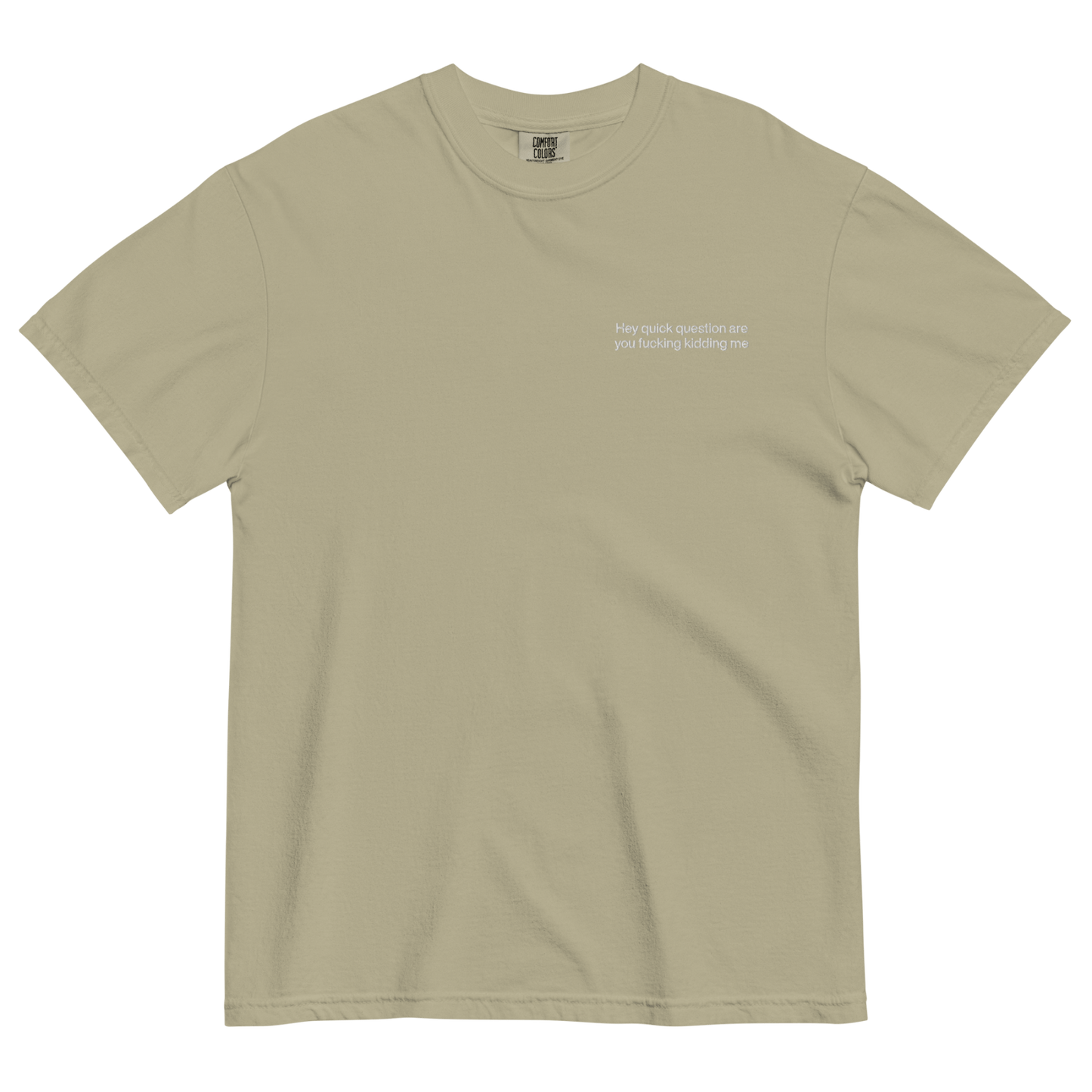 Hey quick question are you fucking kidding me Embroidered T-Shirt - Polychrome Goods π