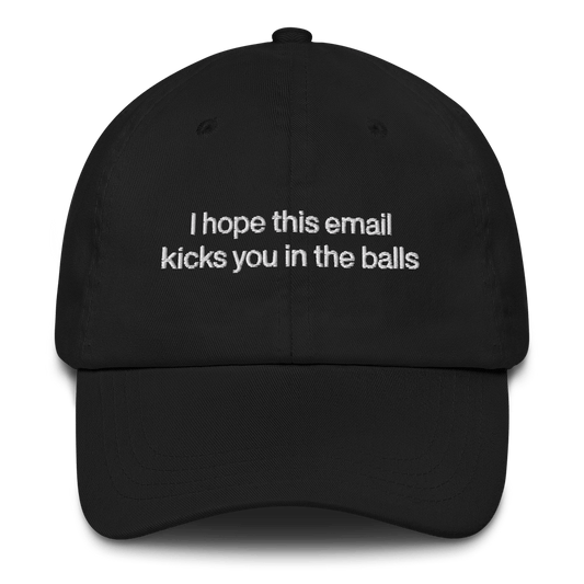 I hope this email kicks you in the balls Embroidered Hat - Polychrome Goods 🍊