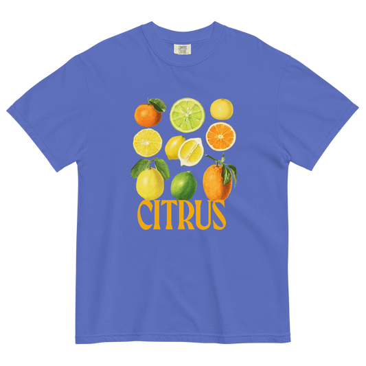 The Citrus Shirt 🍋 🍊 - Polychrome Goods 🍊