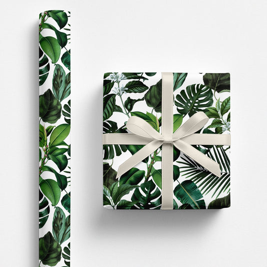 Tropical Monstera Plant Wrapping Paper - Polychrome Goods