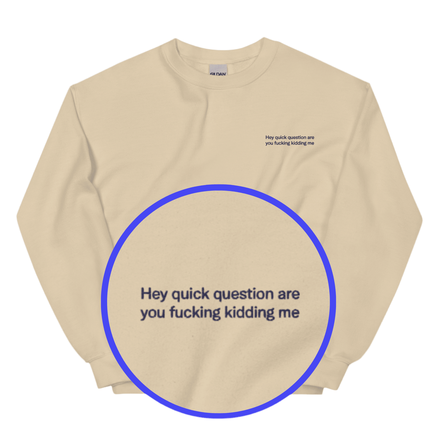 Hey quick question are you fucking kidding me. Embroidered Sweatshirt