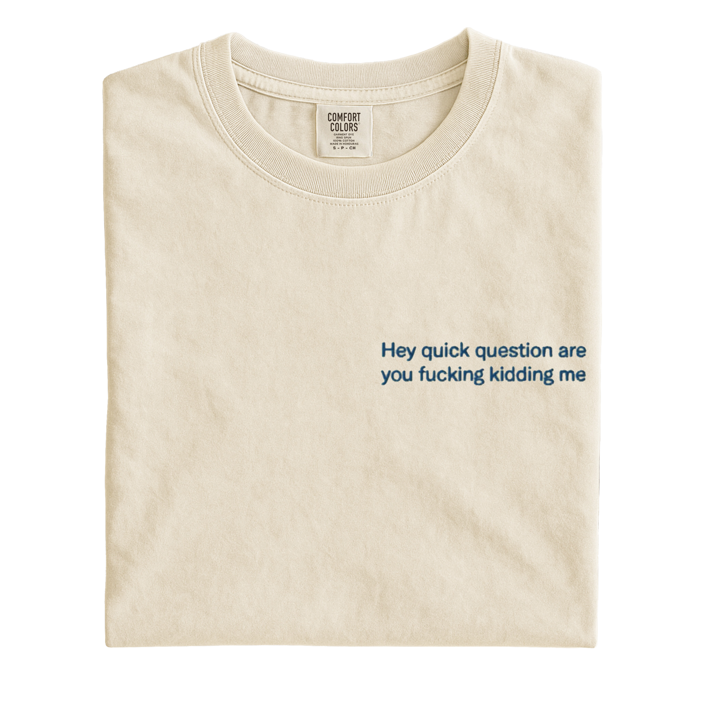 Hey quick question are you fucking kidding me Embroidered T-Shirt