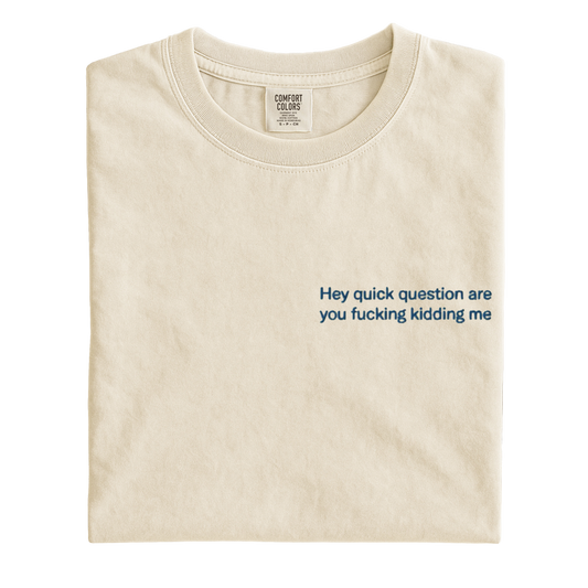 Hey quick question are you fucking kidding me Embroidered T-Shirt