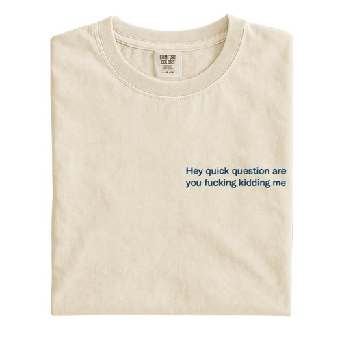Hey quick question are you fucking kidding me Embroidered T-Shirt