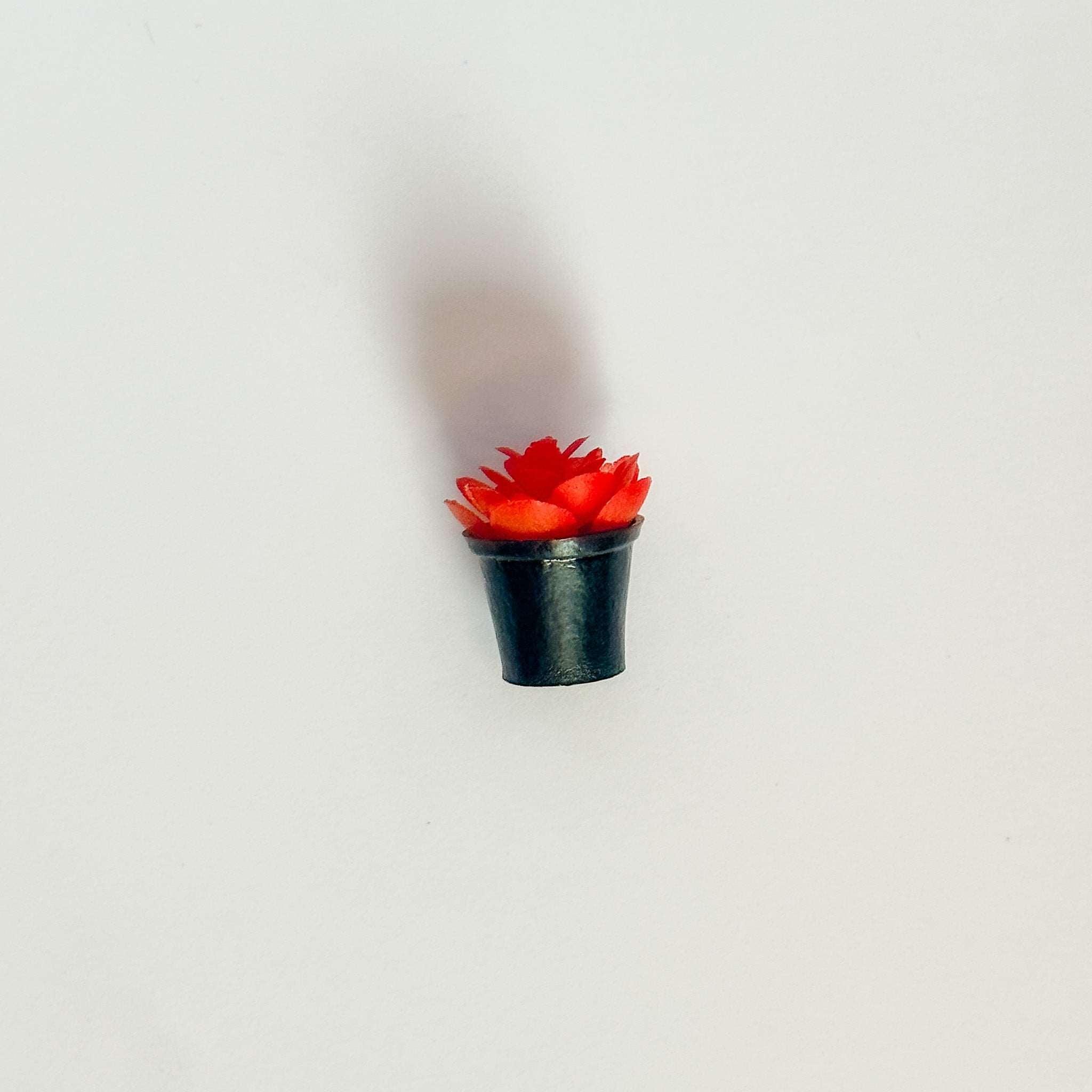 Miniature Succulent Refrigerator Magnet Polychrome Goods