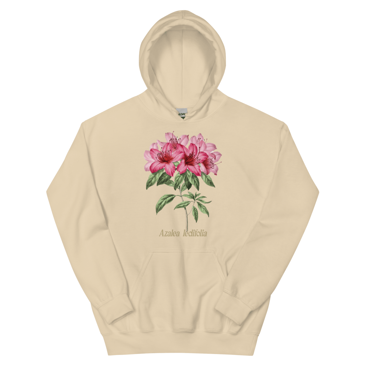 Azalea Ledifolia Flower Hoodie - Polychrome Goods 🍊