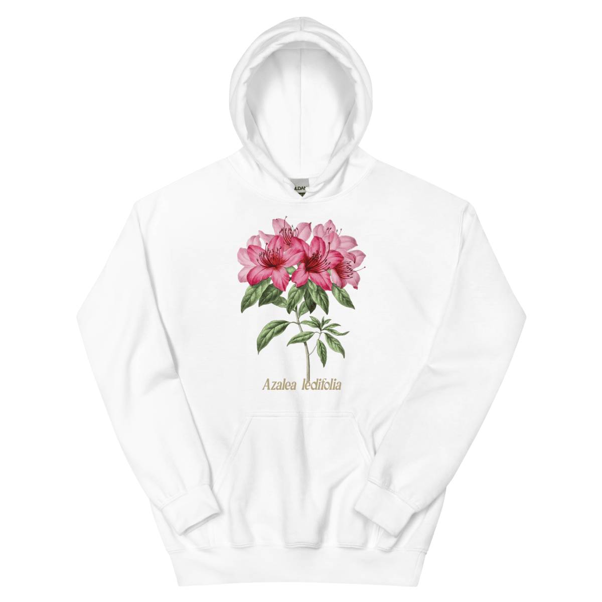 Azalea Ledifolia Flower Hoodie - Polychrome Goods 🍊