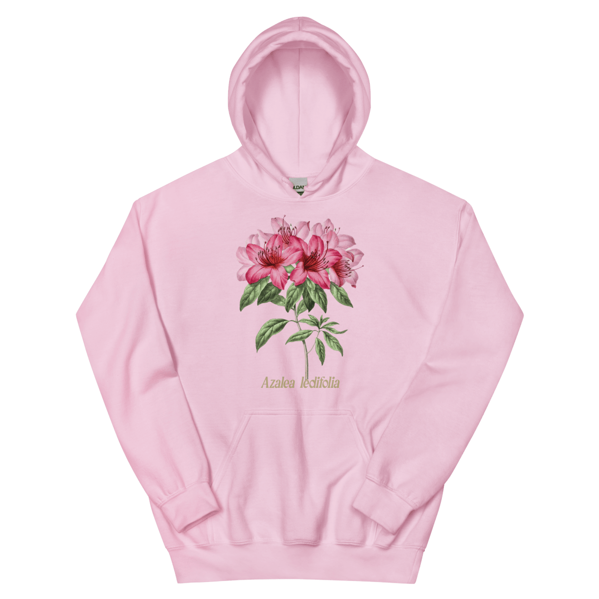 Azalea Ledifolia Flower Hoodie - Polychrome Goods 🍊