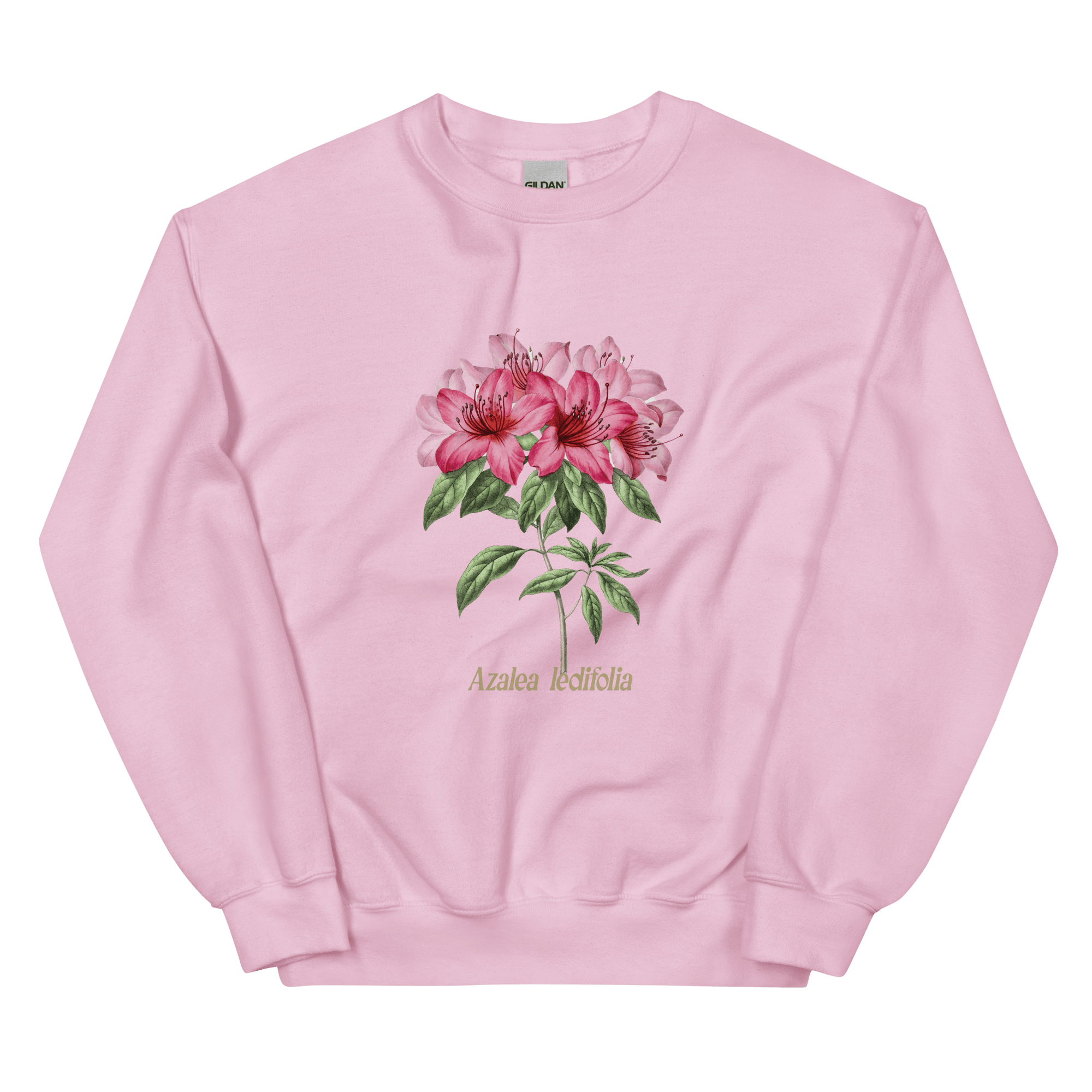 Azalea Ledifolia Sweatshirt Polychrome Goods 🍊