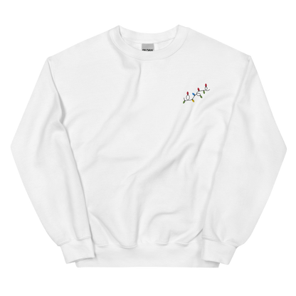 Christmas Lights 🎄 Embroidered Sweatshirt - Polychrome Goods
