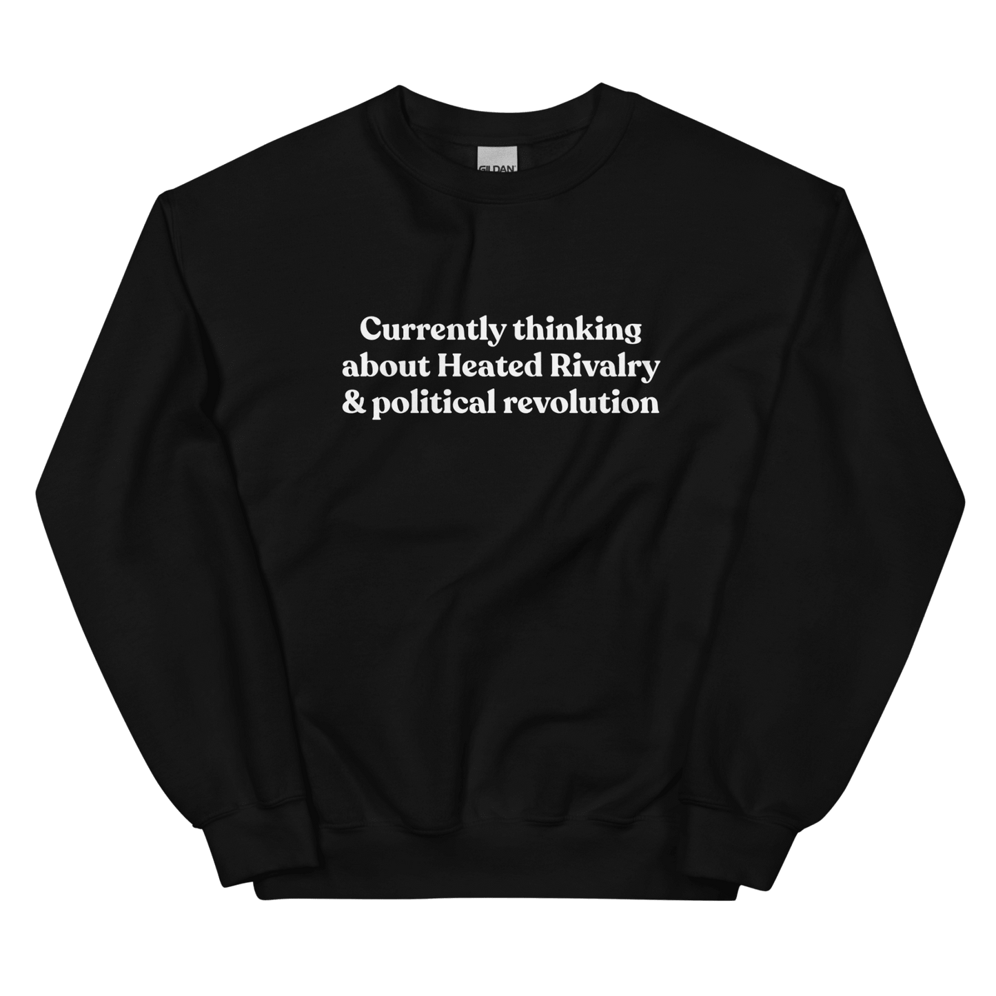 Currently thinking about Heated Rivalry & political revolution Sweatshirt - Polychrome Goods