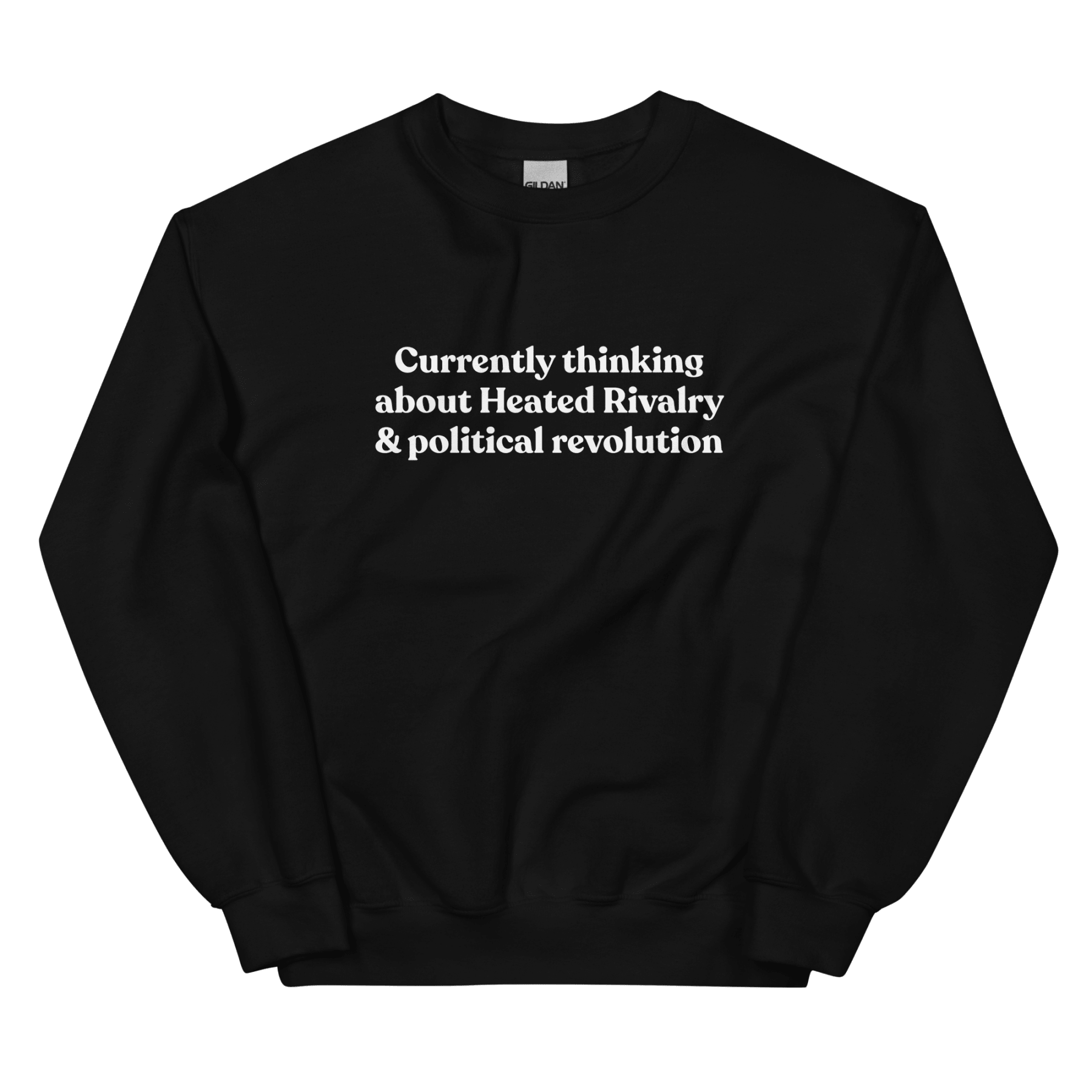 Currently thinking about Heated Rivalry & political revolution Sweatshirt - Polychrome Goods