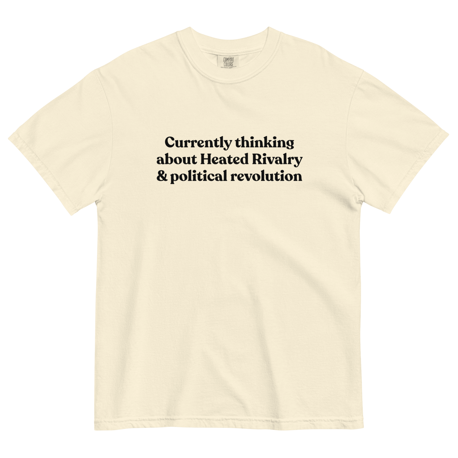 Currently thinking about Heated Rivalry & political revolution T-Shirt - Polychrome Goods