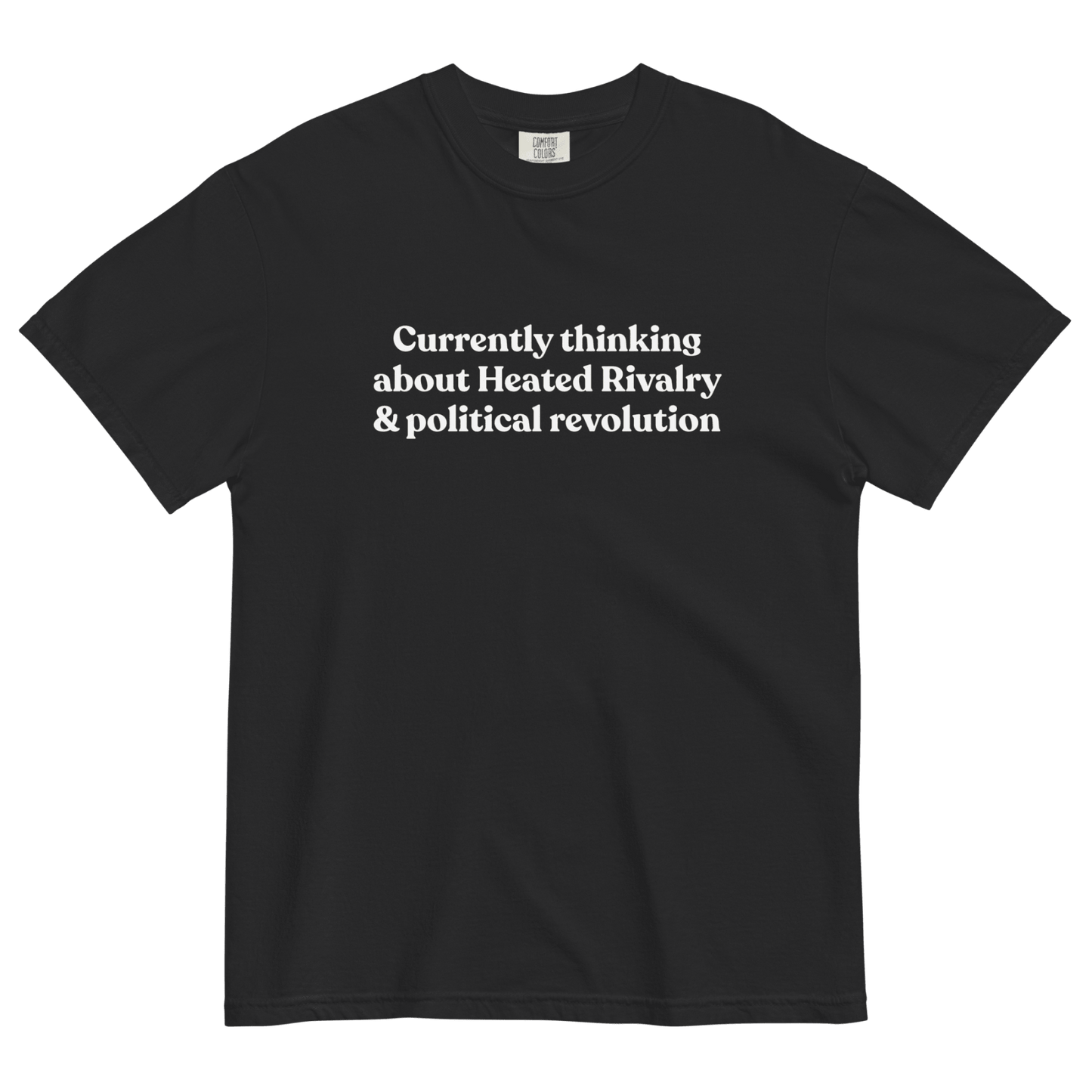 Currently thinking about Heated Rivalry & political revolution T-Shirt - Polychrome Goods