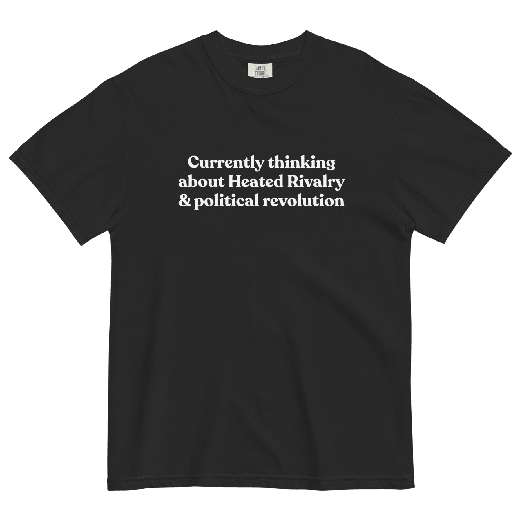 Currently thinking about Heated Rivalry & political revolution T-Shirt - Polychrome Goods