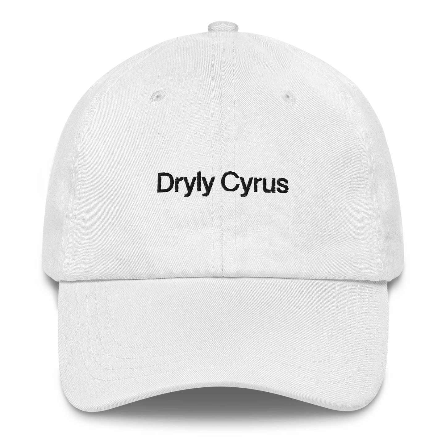 Dryly Cyrus (from the Tyra Banks Show) Embroidered Hat - Polychrome Goods 🍊