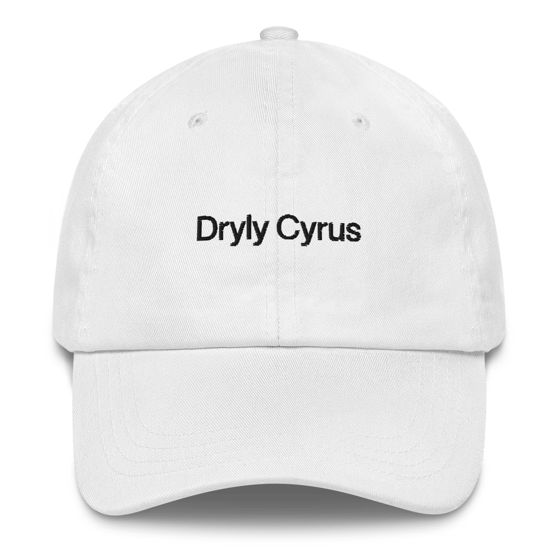 Dryly Cyrus (from the Tyra Banks Show) Embroidered Hat - Polychrome Goods 🍊