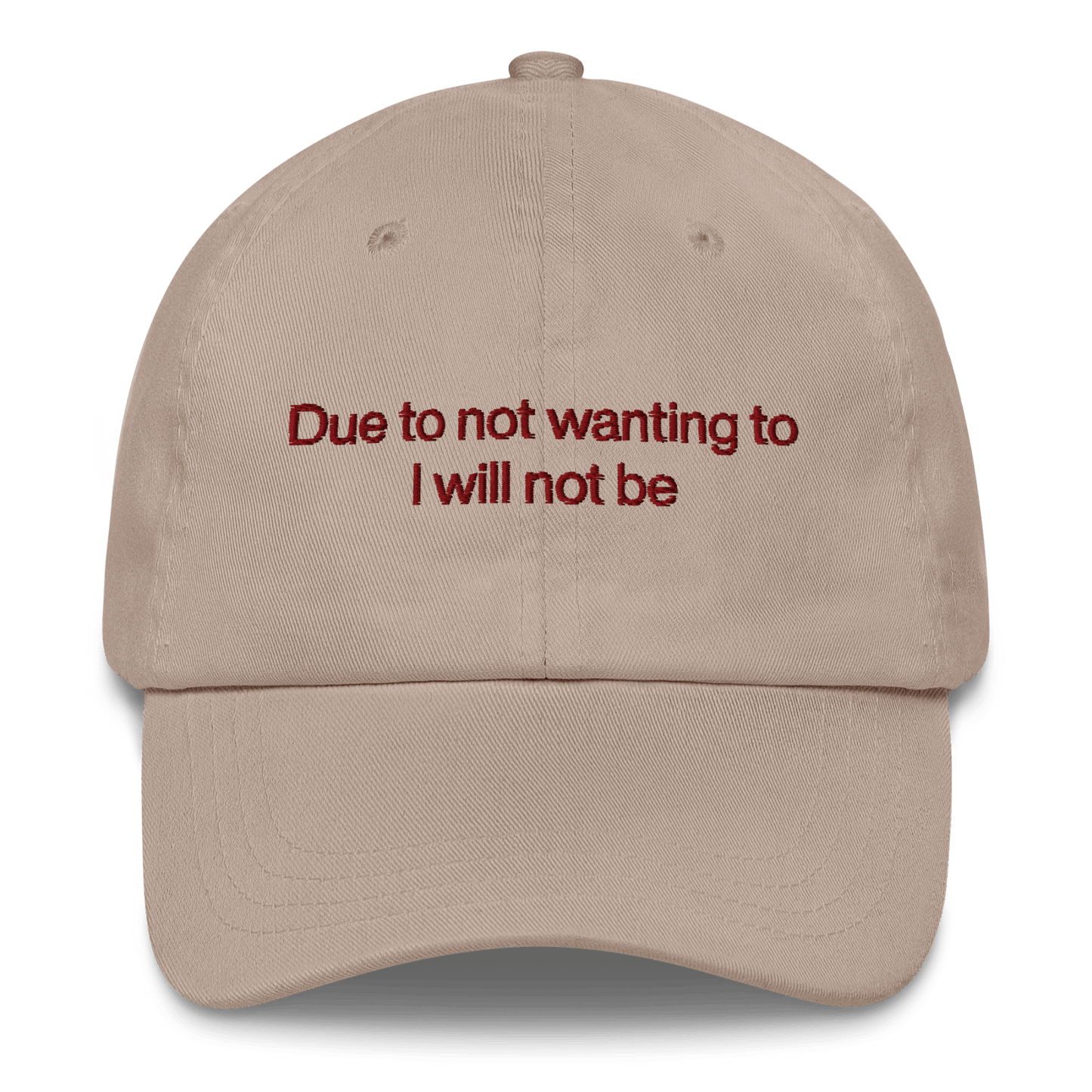 Due to not wanting to I will not be Embroidered Hat - Polychrome Goods