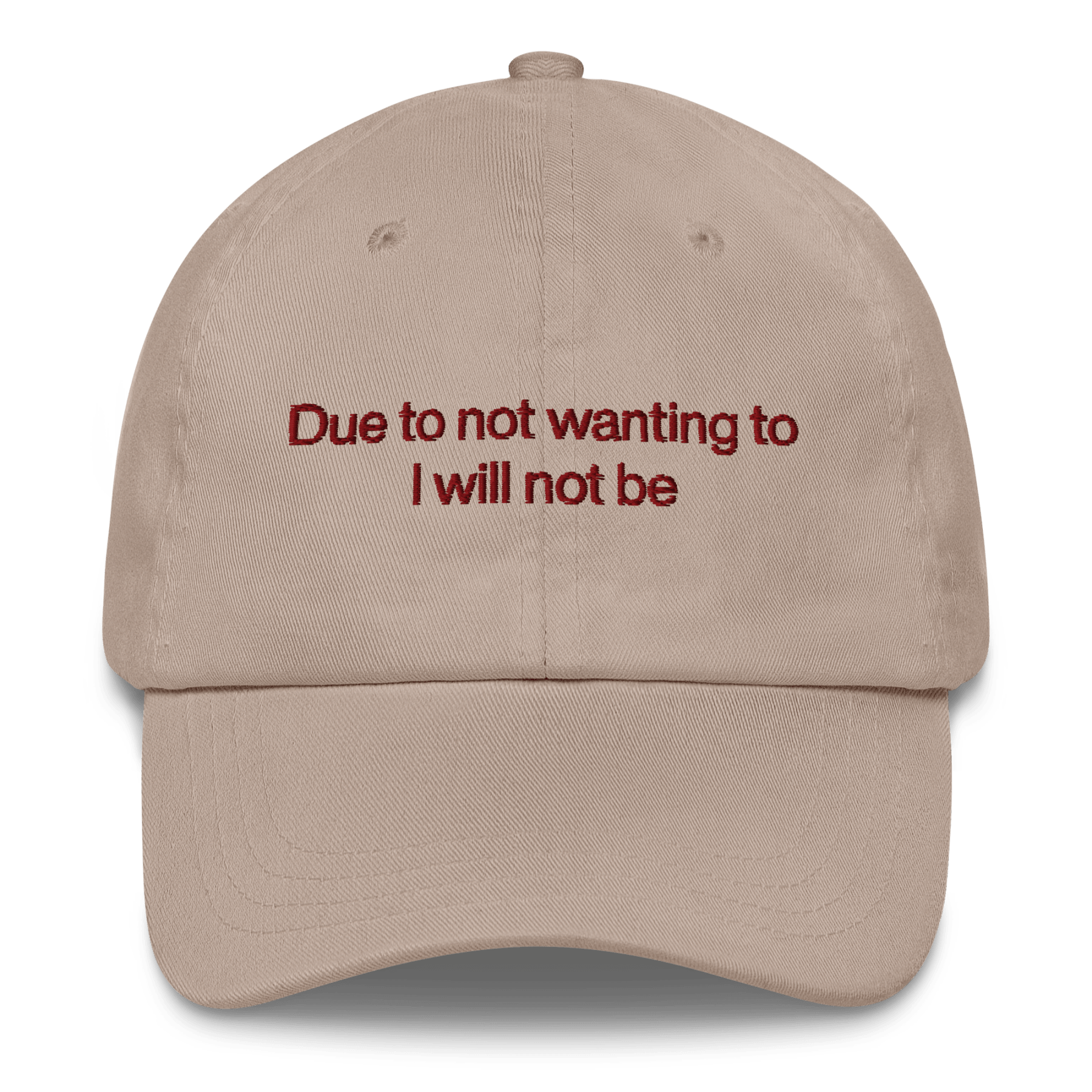 Due to not wanting to I will not be Embroidered Hat - Polychrome Goods