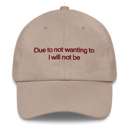 Due to not wanting to I will not be Embroidered Hat - Polychrome Goods