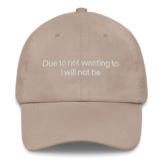 Due to not wanting to I will not be Embroidered Hat - Polychrome Goods