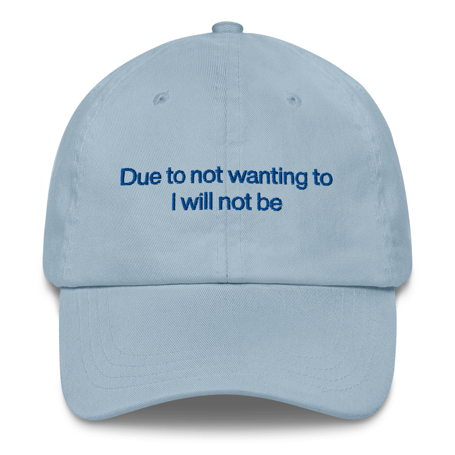 Due to not wanting to I will not be Embroidered Hat - Polychrome Goods