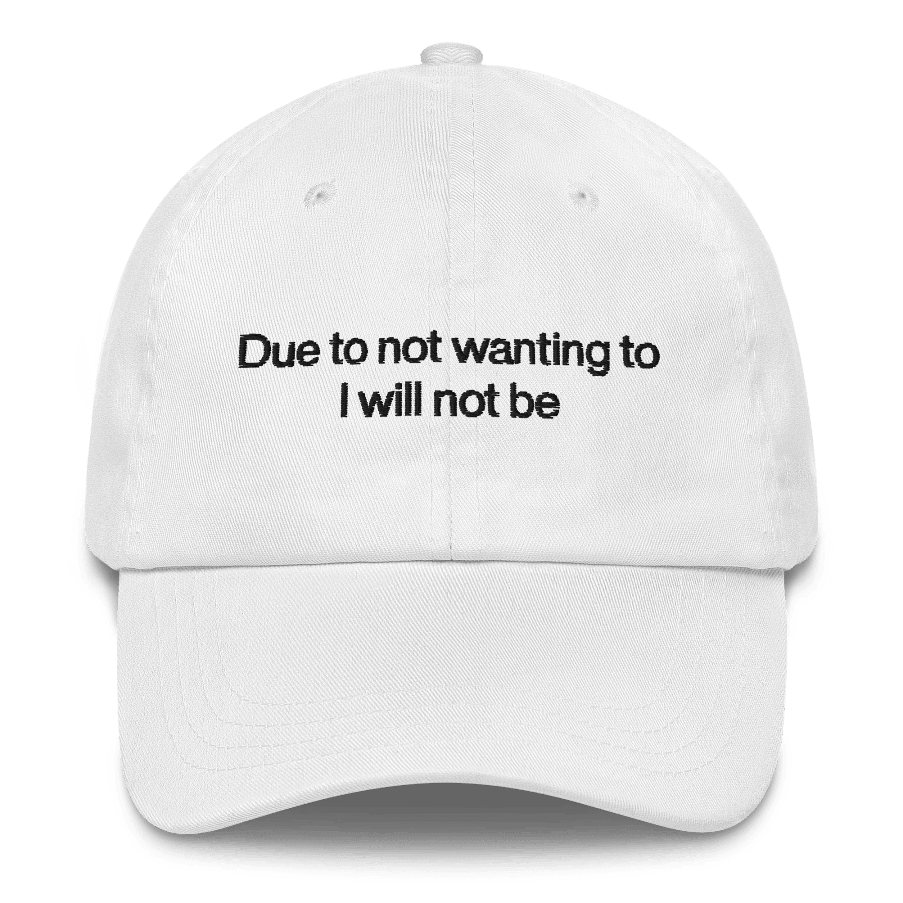 Due to not wanting to I will not be Embroidered Hat - Polychrome Goods