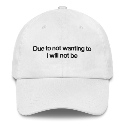 Due to not wanting to I will not be Embroidered Hat - Polychrome Goods