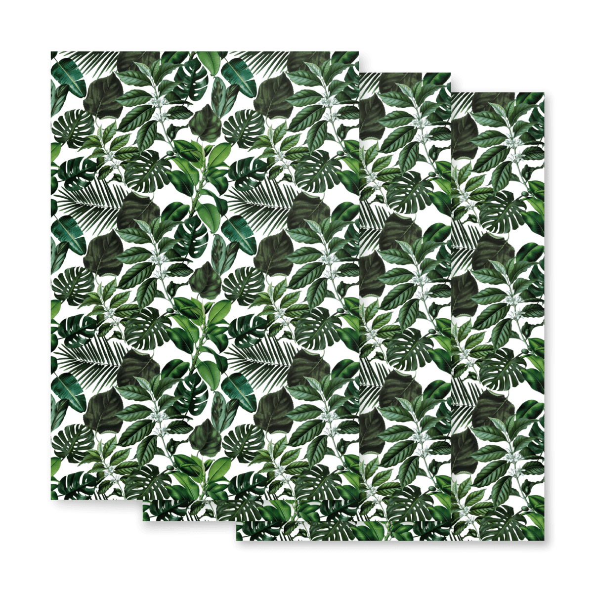 "Ellie" Tropical Monstera Plant Wrapping Paper - Polychrome Goods 🍊