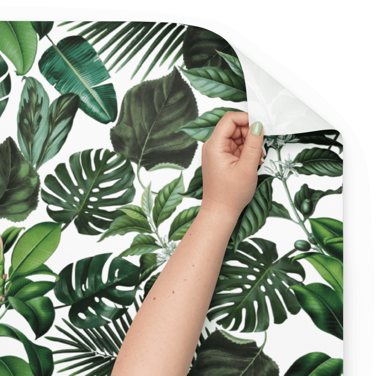 "Ellie" Tropical Monstera Plant Wrapping Paper - Polychrome Goods 🍊