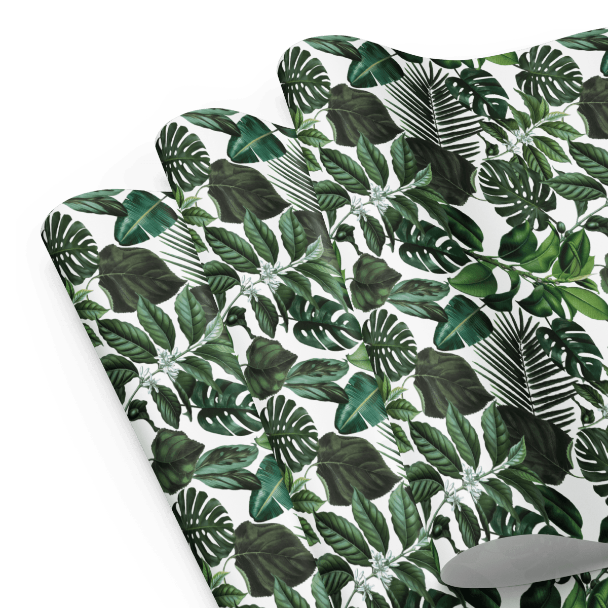 "Ellie" Tropical Monstera Plant Wrapping Paper - Polychrome Goods 🍊