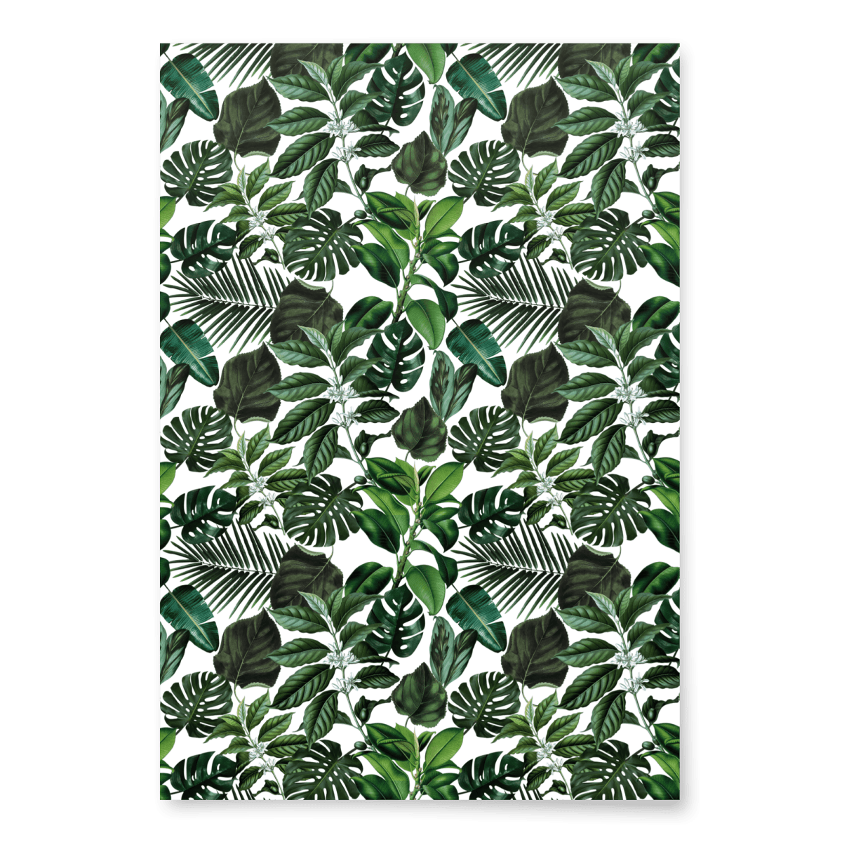 "Ellie" Tropical Monstera Plant Wrapping Paper - Polychrome Goods 🍊