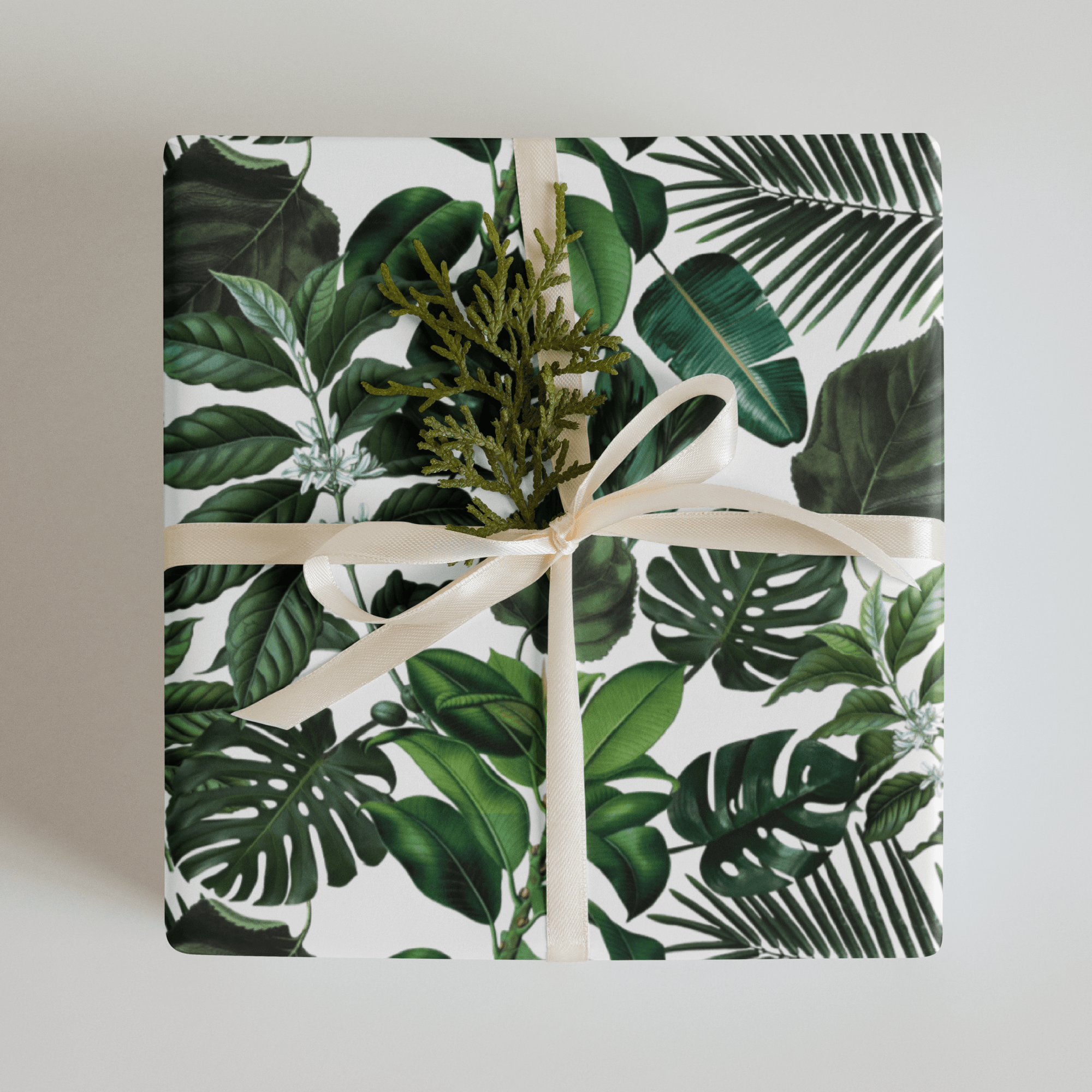 "Ellie" Tropical Monstera Plant Wrapping Paper - Polychrome Goods 🍊