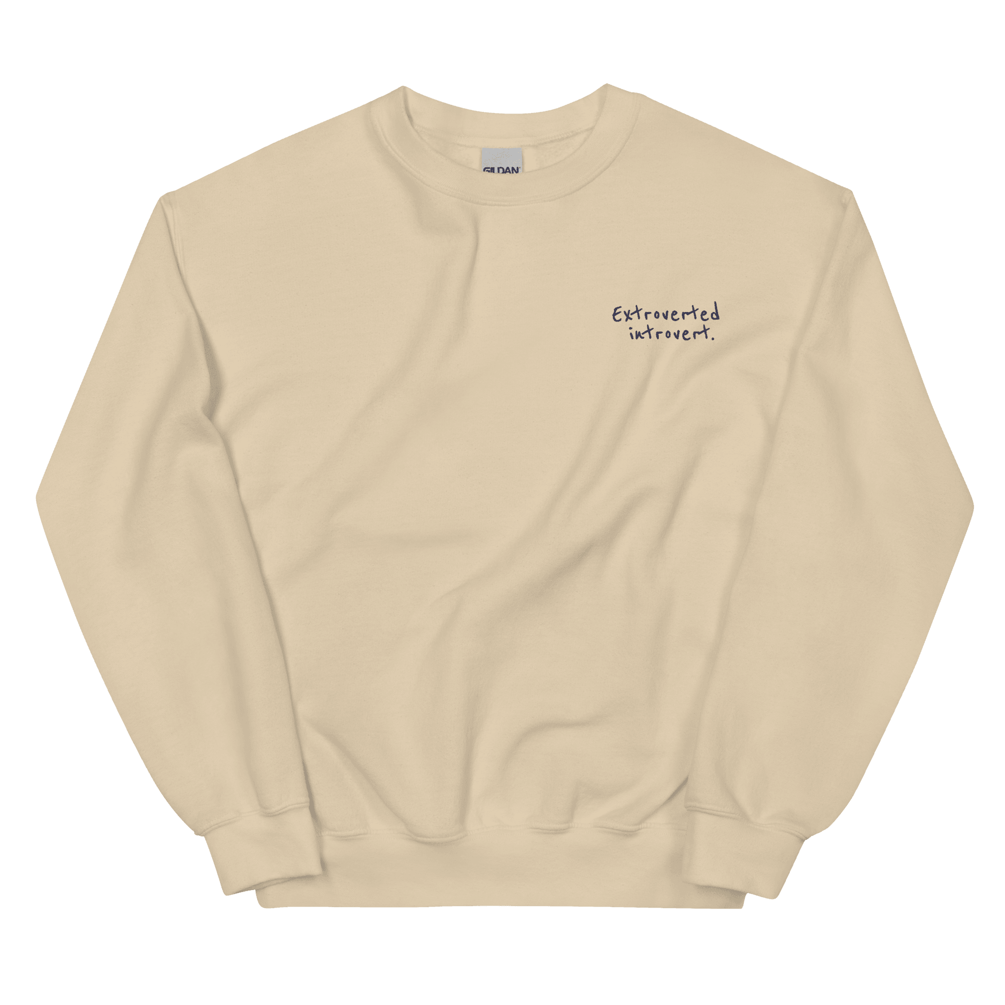Extroverted Introvert Embroidered Sweatshirt Polychrome Goods 🍊