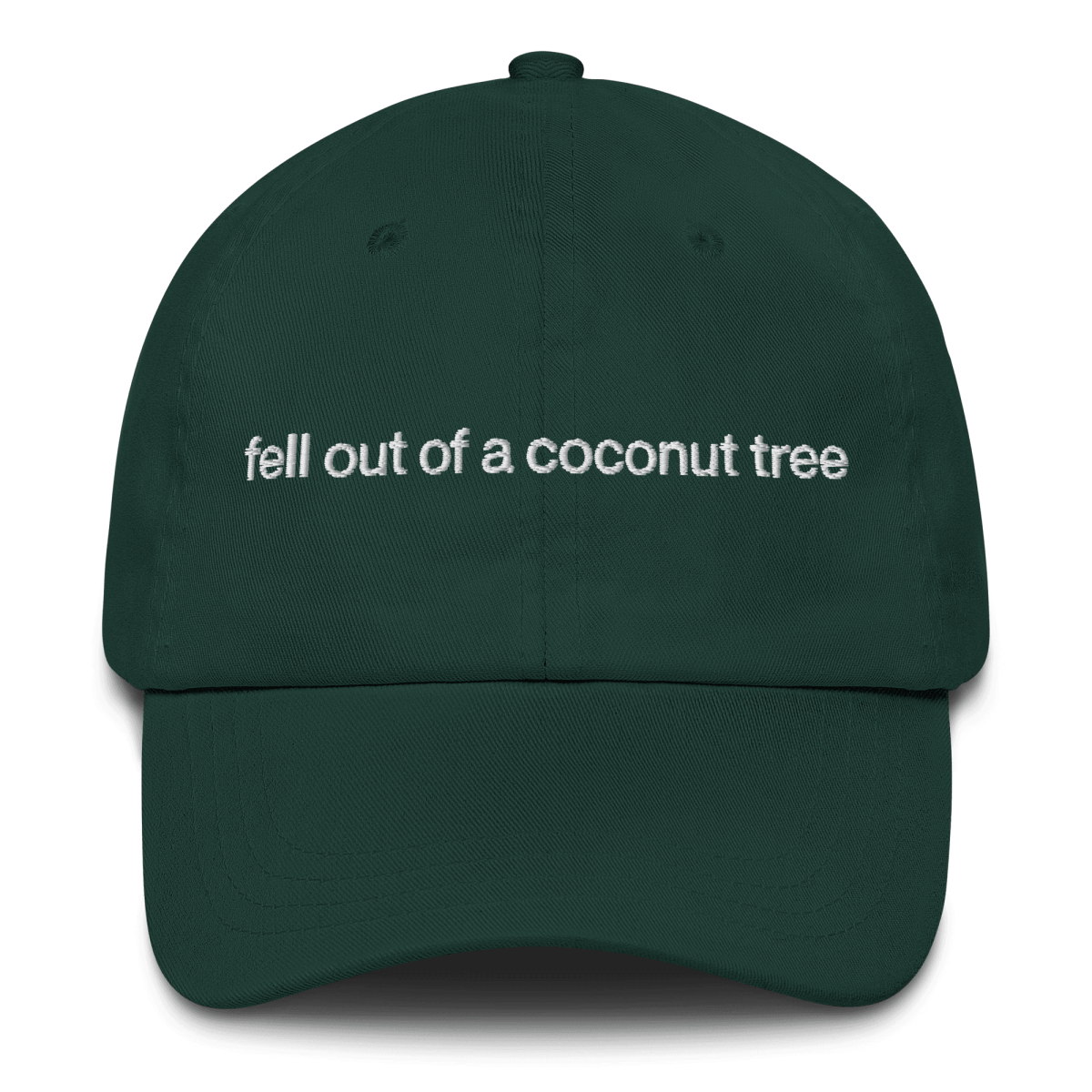 Fell Out of a Coconut Tree Embroidered Hat - Polychrome Goods 🍊