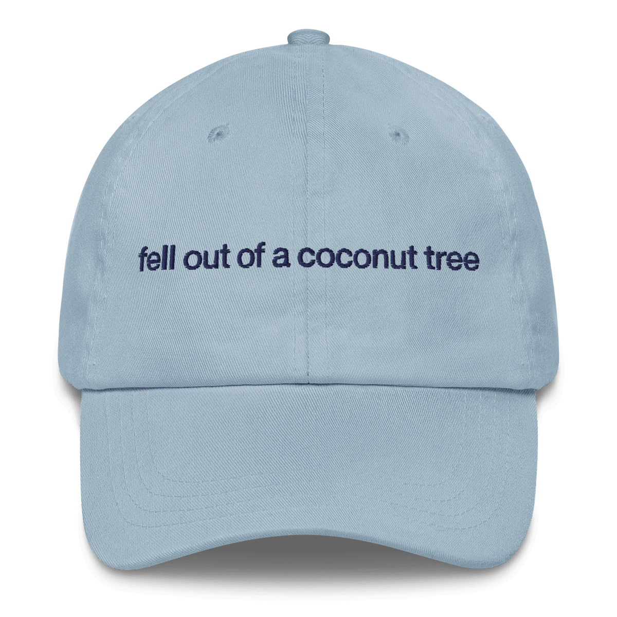 Fell Out of a Coconut Tree Embroidered Hat - Polychrome Goods 🍊