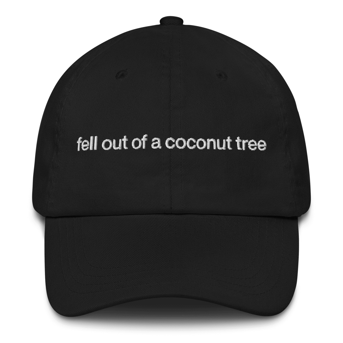 Fell Out of a Coconut Tree Embroidered Hat - Polychrome Goods 🍊