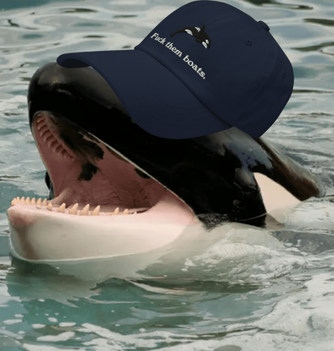 Fuck Them Boats - The Original Embroidered Orca Whale Hat - Polychrome Goods 🍊