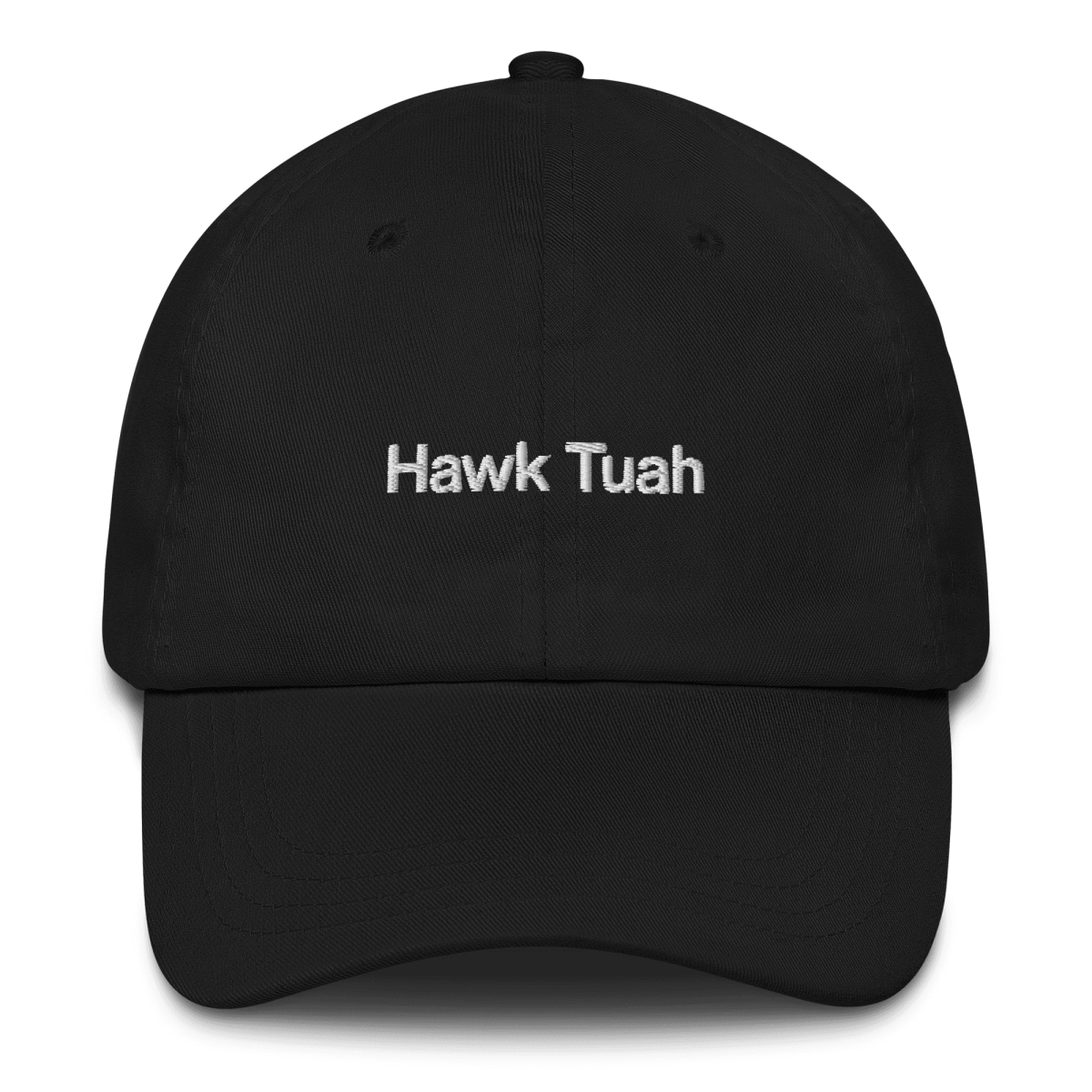 Hawk Tuah Embroidered Hat - Polychrome Goods 🍊