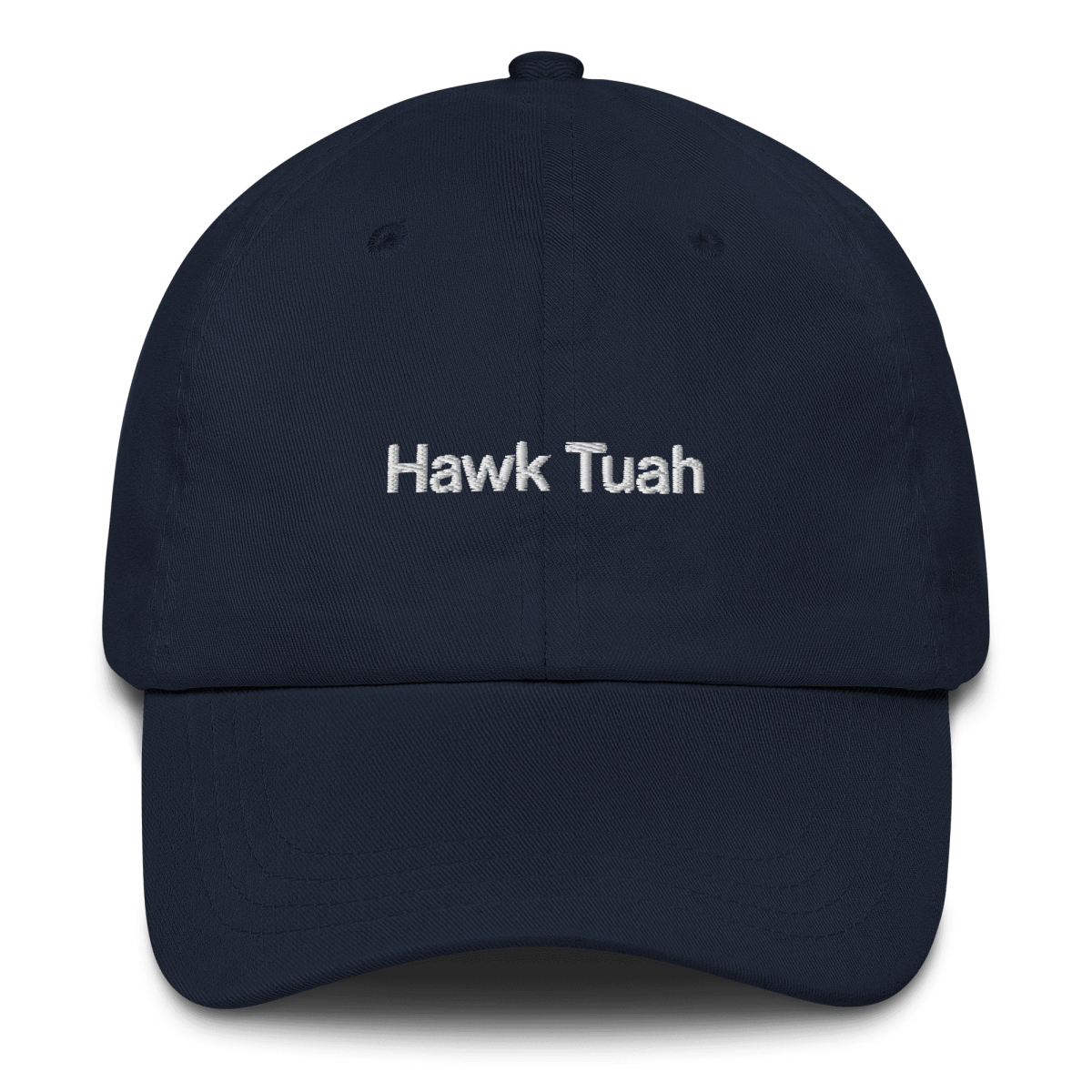 Hawk Tuah Embroidered Hat - Polychrome Goods 🍊