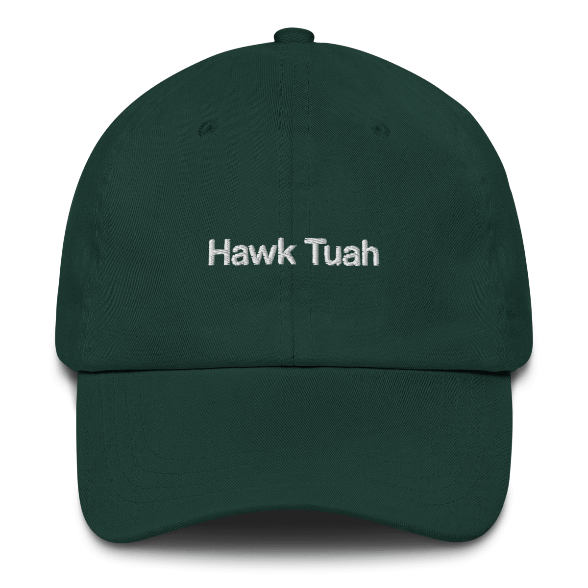 Hawk Tuah Embroidered Hat - Polychrome Goods 🍊