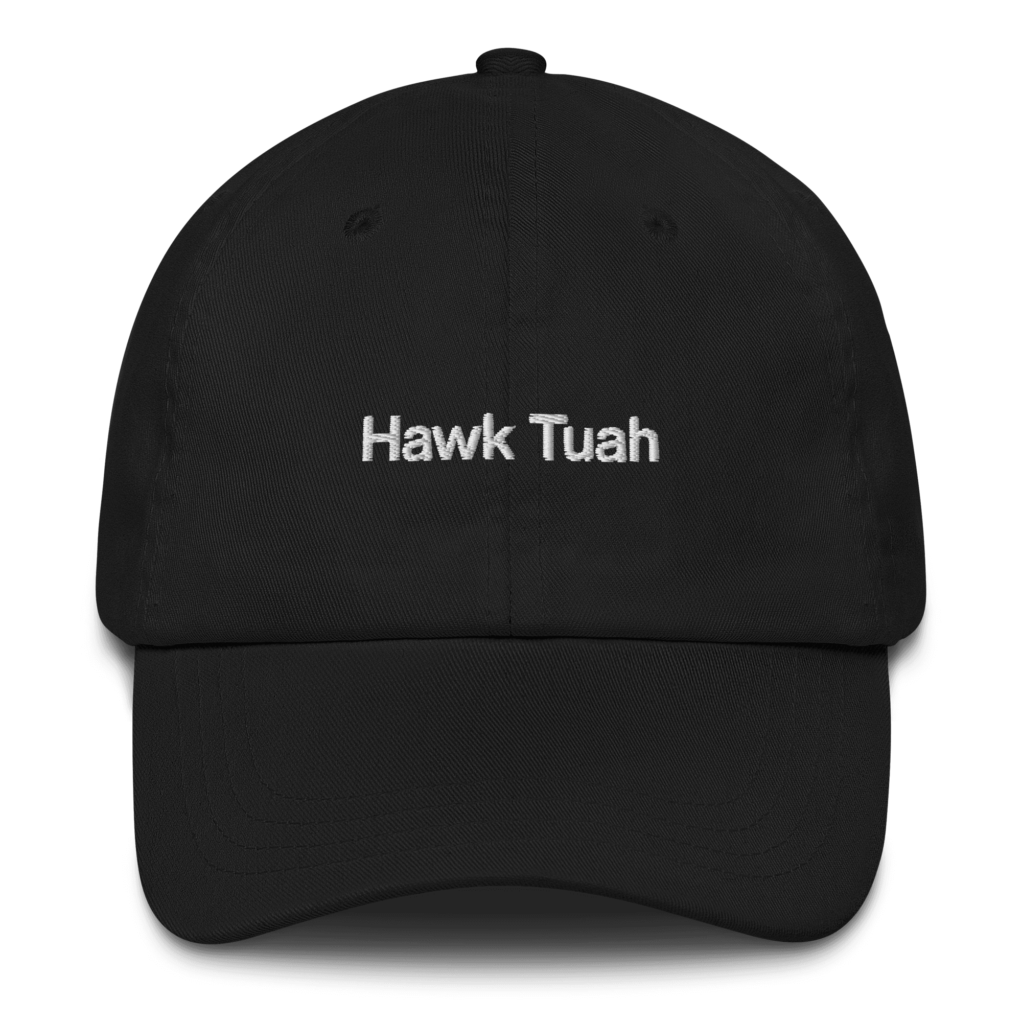 Hawk Tuah Embroidered Hat - Polychrome Goods 🍊