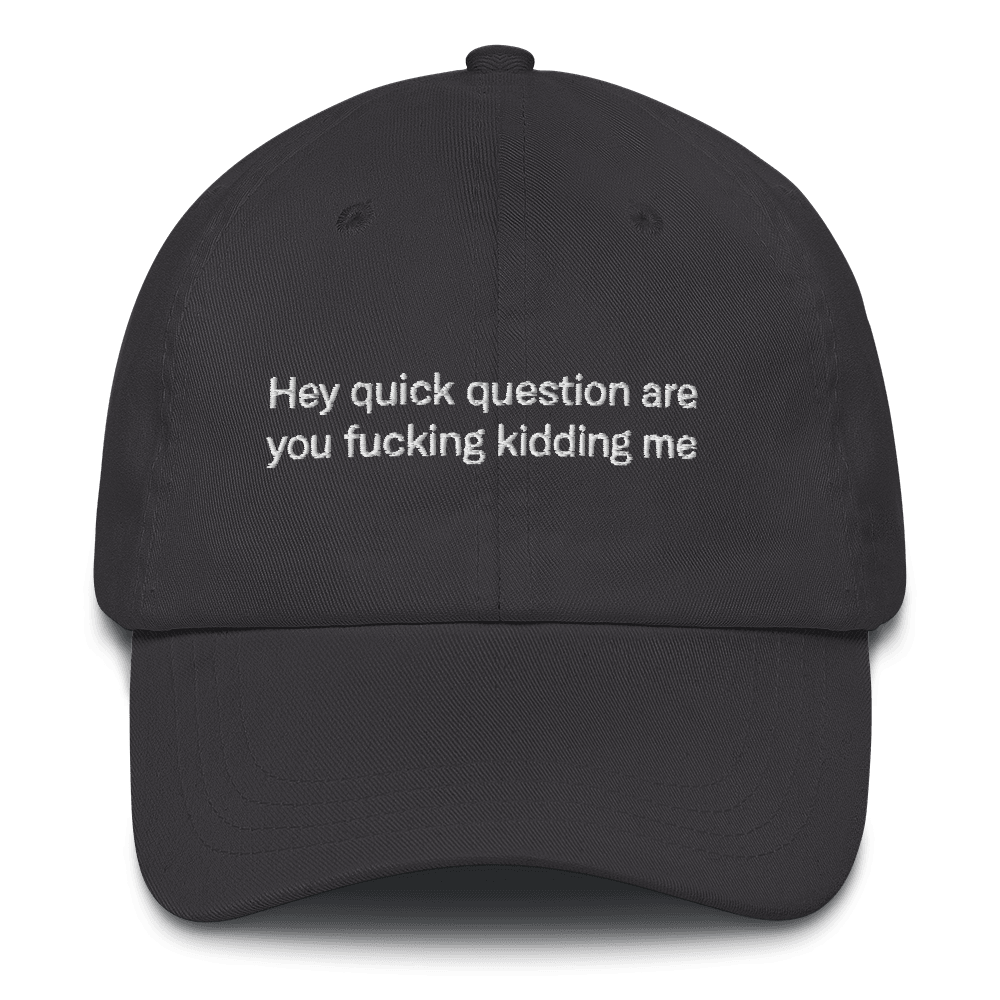 Hey quick question are you fucking kidding me Embroidered Hat - Polychrome Goods 🍊