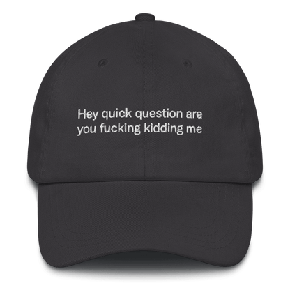 Hey quick question are you fucking kidding me Embroidered Hat - Polychrome Goods 🍊