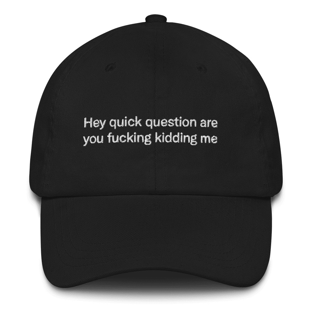 Hey quick question are you fucking kidding me Embroidered Hat - Polychrome Goods 🍊