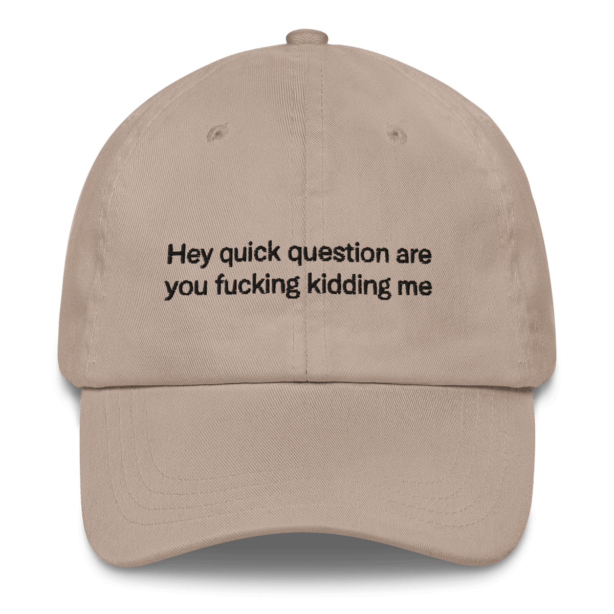 Hey quick question are you fucking kidding me Embroidered Hat - Polychrome Goods 🍊